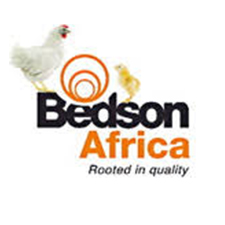 Bedson Africa